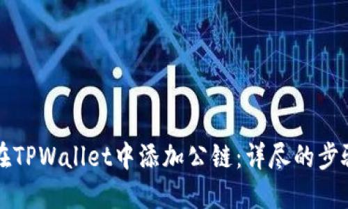 如何在TPWallet中添加公链：详尽的步骤指南