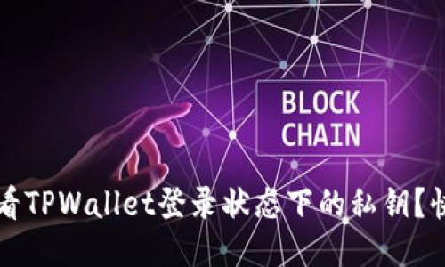如何查看TPWallet登录状态下的私钥？快速指南