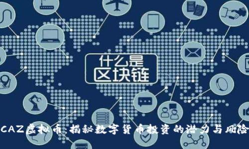 CAZ虚拟币：揭秘数字货币投资的潜力与风险