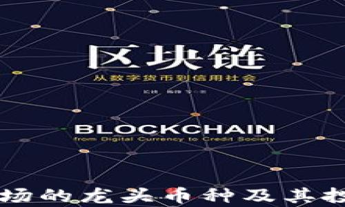 
虚拟货币市场的龙头币种及其投资价值分析