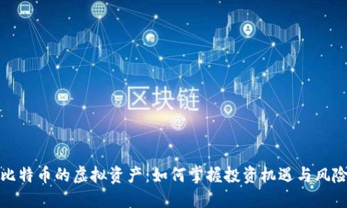 比特币的虚拟资产：如何掌握投资机遇与风险