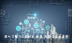 深入了解TCD虚拟币：投资