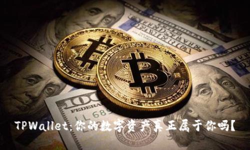 TPWallet：你的数字资产真正属于你吗？