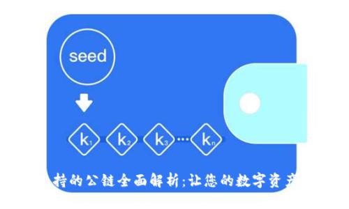 tpwallet支持的公链全面解析：让您的数字资产管理更轻松