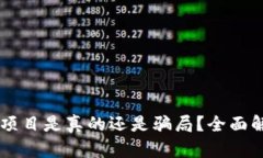 虚拟币赚钱项目是真的还