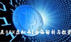 什么是BPX虚拟币？全面解