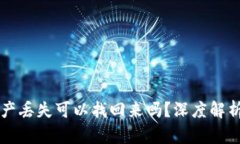 TPWallet资产丢失可以找回来