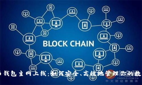 虚拟币钱包主网上线：如何安全、高效地管理你的数字资产