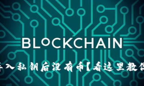 TPWallet导入私钥后没有币？看这里教你轻松找回！