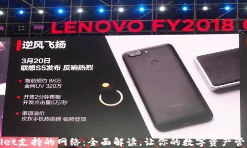 
TPWallet支持的网络：全面解读，让你的数字资产管理无忧