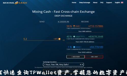 
如何快速查询TPWallet资产，掌握您的数字资产动态