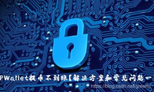 TPWallet提币不到账？解决方案和常见问题一览