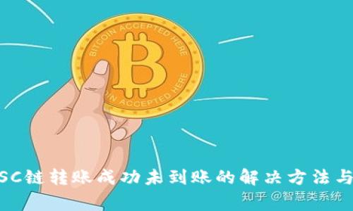 TP Wallet BSC链转账成功未到账的解决方法与常见问题解析