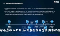 探索越南虚拟币矿场：如