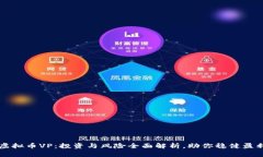 虚拟币VP：投资与风险全面