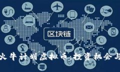 全面解析火牛计划虚拟币