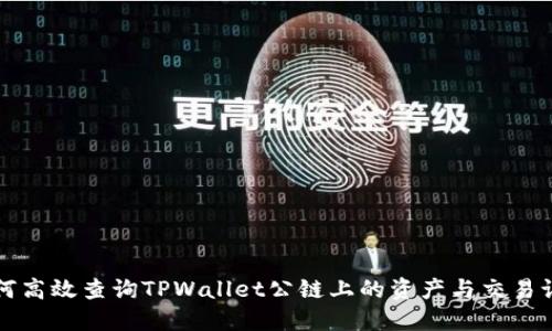 如何高效查询TPWallet公链上的资产与交易记录
