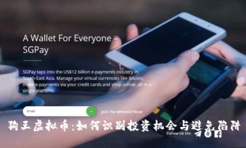 狗王虚拟币：如何识别投资机会与避免陷阱