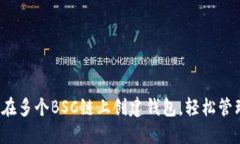 TPWallet：如何在多个BSC链上