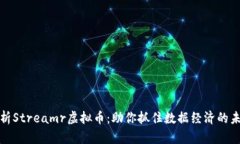 深入解析Streamr虚拟币：助