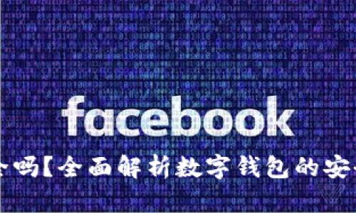 TPWallet安全吗？全面解析数字钱包的安全性与可靠性