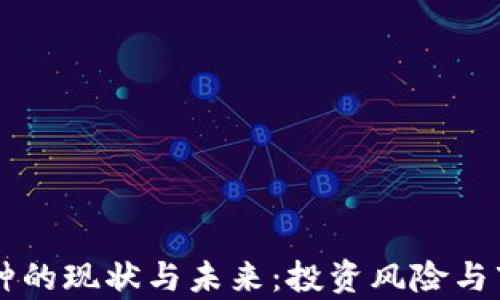 
国内虚拟币种的现状与未来：投资风险与市场机遇分析