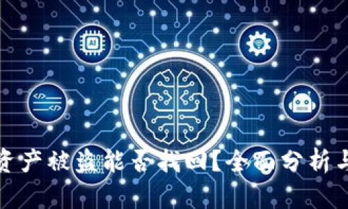 tpwallet资产被盗能否找回？全面分析与应对方案