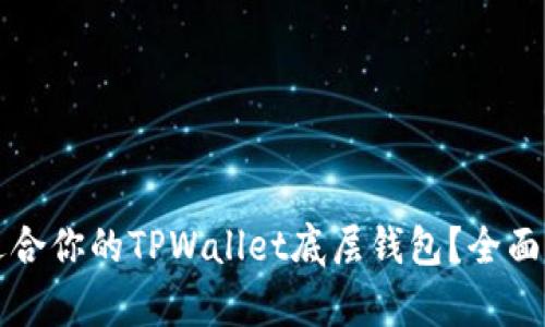 如何选择适合你的TPWallet底层钱包？全面分析与推荐