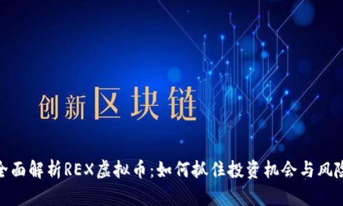 全面解析REX虚拟币：如何抓住投资机会与风险