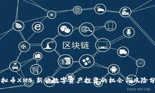 虚拟币XMS：新兴数字资产投资的机会与风险分析