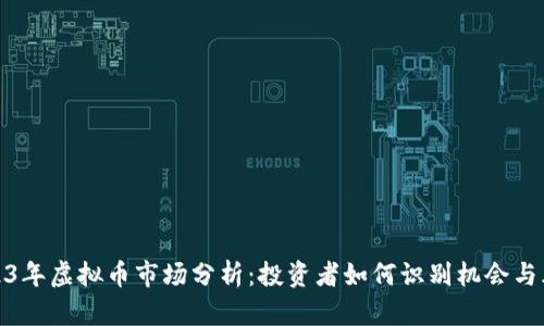 2023年虚拟币市场分析：投资者如何识别机会与风险