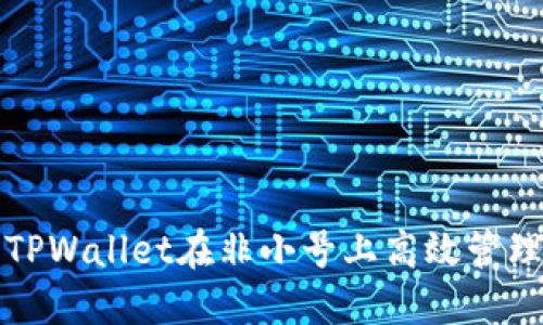 如何使用TPWallet在非小号上高效管理加密资产