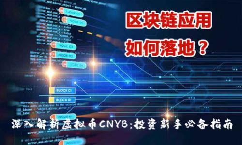 深入解析虚拟币CNYB：投资新手必备指南