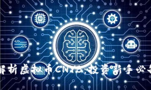 深入解析虚拟币CNYB：投资新手必备指南