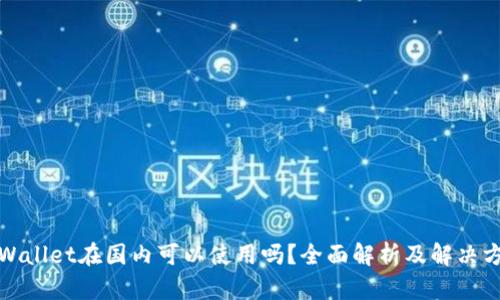 TPWallet在国内可以使用吗？全面解析及解决方案