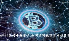 TPWallet关闭中国客户，如何