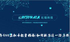 2023年GNO虚拟币投资指南：