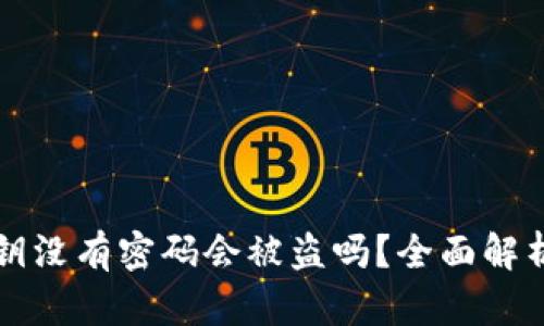 TPWallet密钥没有密码会被盗吗？全面解析和安全建议