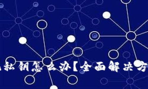 TPWallet忘记私钥怎么办？全面解决方案与注意事项