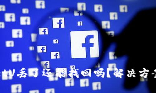 TPWalletU丢了还能找回吗？解决方案大揭秘