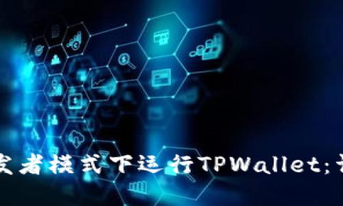 如何在开发者模式下运行TPWallet：详尽的指南