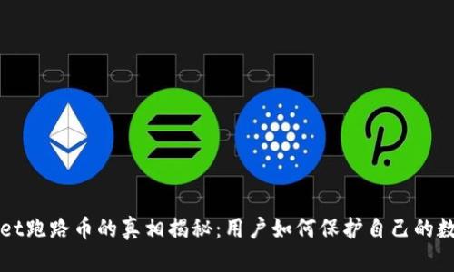 TPWallet跑路币的真相揭秘：用户如何保护自己的数字资产