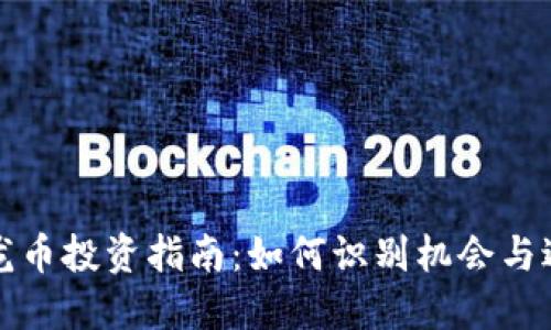 虚拟飞龙币投资指南：如何识别机会与避免风险