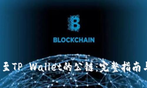 ICP如何提至TP Wallet的公链：完整指南与操作步骤