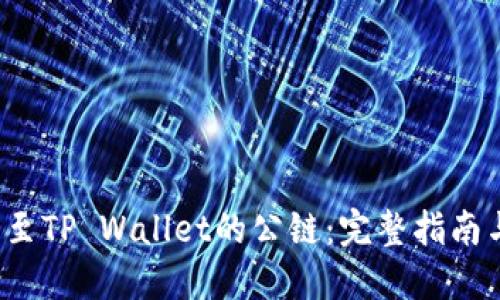 ICP如何提至TP Wallet的公链：完整指南与操作步骤