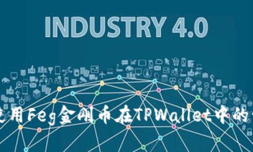 如何安全使用Feg金刚币在TPWallet中的管理和交易