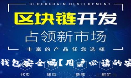 虚拟币钱包安全吗？用户必读的安全指南