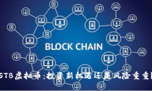 STB虚拟币：投资新机遇还是风险重重？