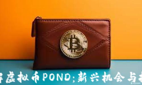 
全面了解虚拟币POND：新兴机会与投资风险