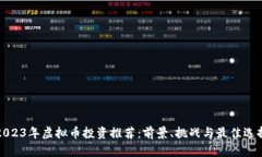 2023年虚拟币投资推荐：前